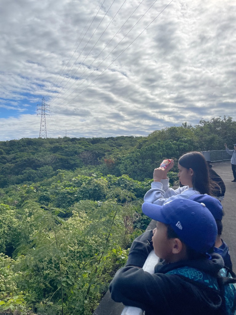 高い橋から景色を眺める子供たち