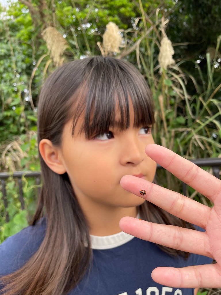 てんとう虫を見つける女の子