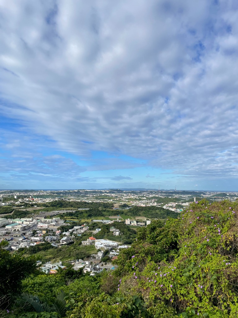 山から見下ろす街並み