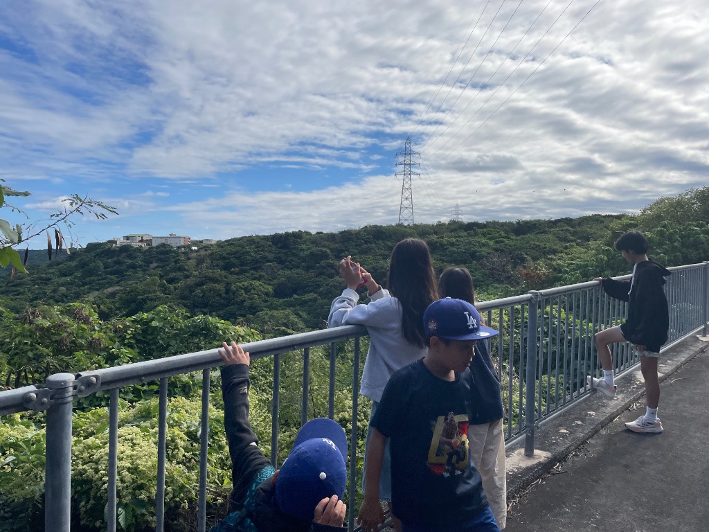 手すり越しに広大な景色を観察